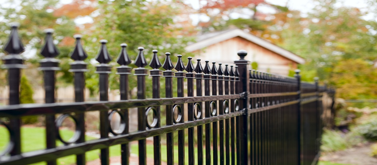 Backyard Rod Iron Fence 