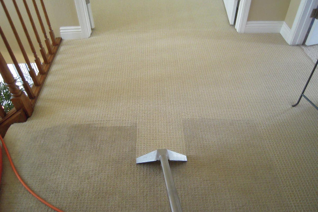 mon Carpet Cleaning & Shampooing Mistakes