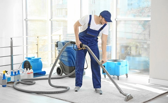 Should You Rent a Steamer or Hire a Professional Carpet Cleaner?