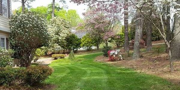 landscaping lawn maintenance