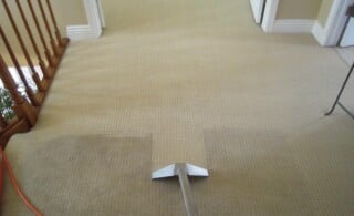 Hot Water Extraction for Carpets