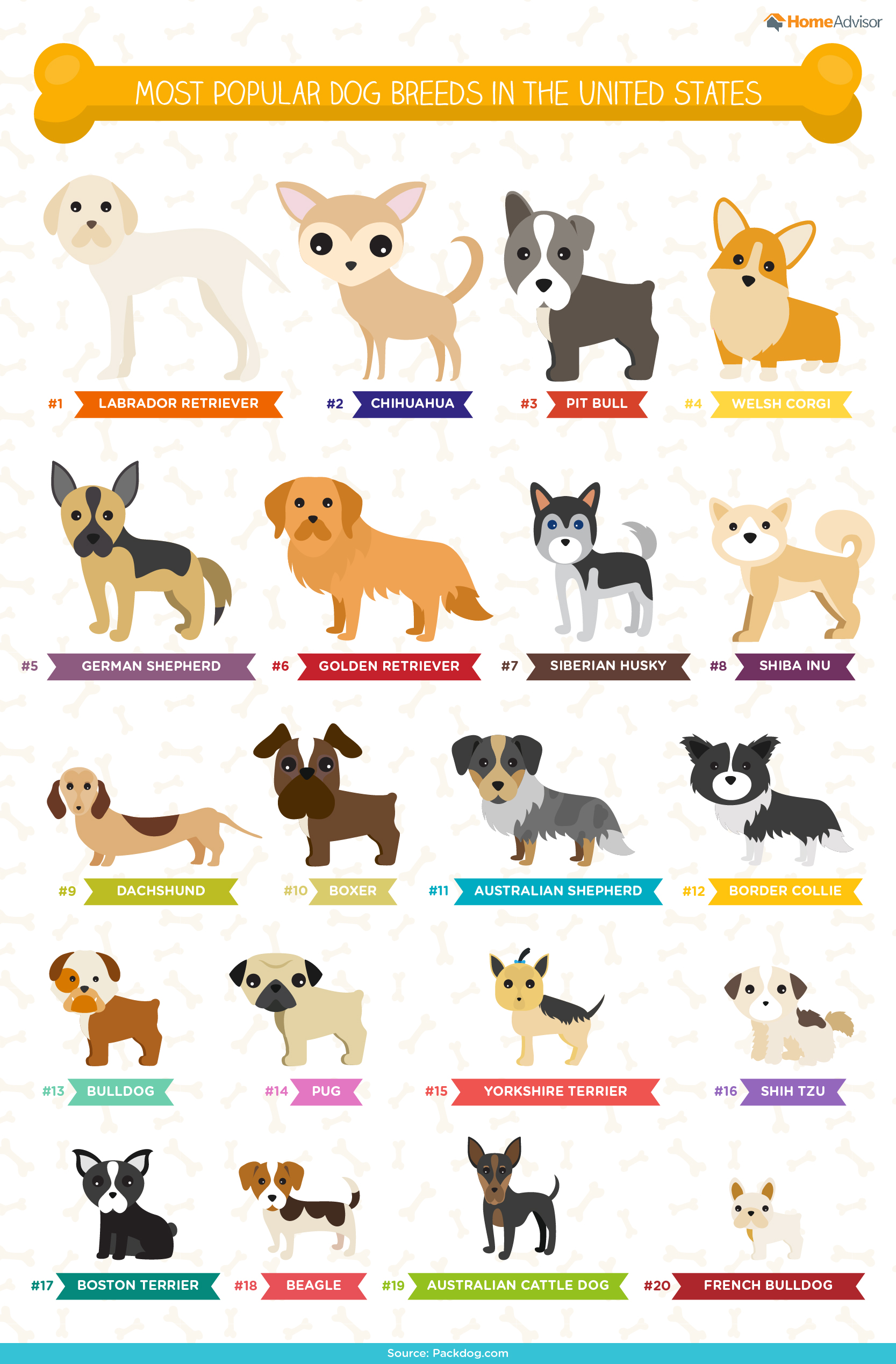 Dog breeds, Dog breed names, Top dog breeds, Dog breeds medium