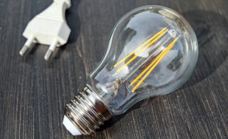 Light bulb with plug