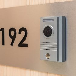 Video camera in the intercome