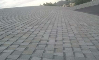 Gray Asphalt Shingle Roof
