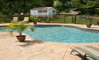 Lush Backyard Swimming Pool