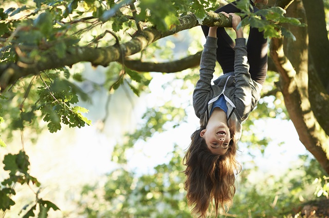 Young girl playing in tree, hanging upside down from branch