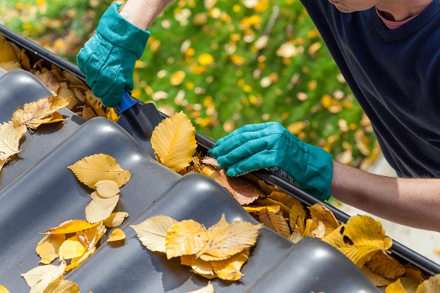 Man with gloved hands cleaning out leaves from a gutter