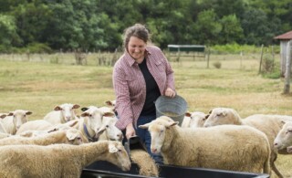 Female farmer feeding sheep in a field