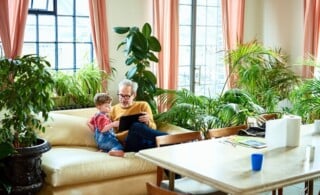 Grandfather and grandson on couch surrounded by live palms, ficus, and ferns.