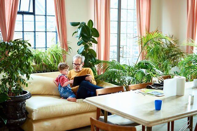 Grandfather and grandson on couch surrounded by live palms, ficus, and ferns.