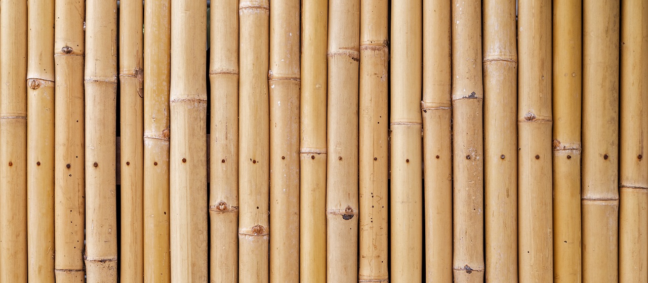 close-up of bamboo fencing