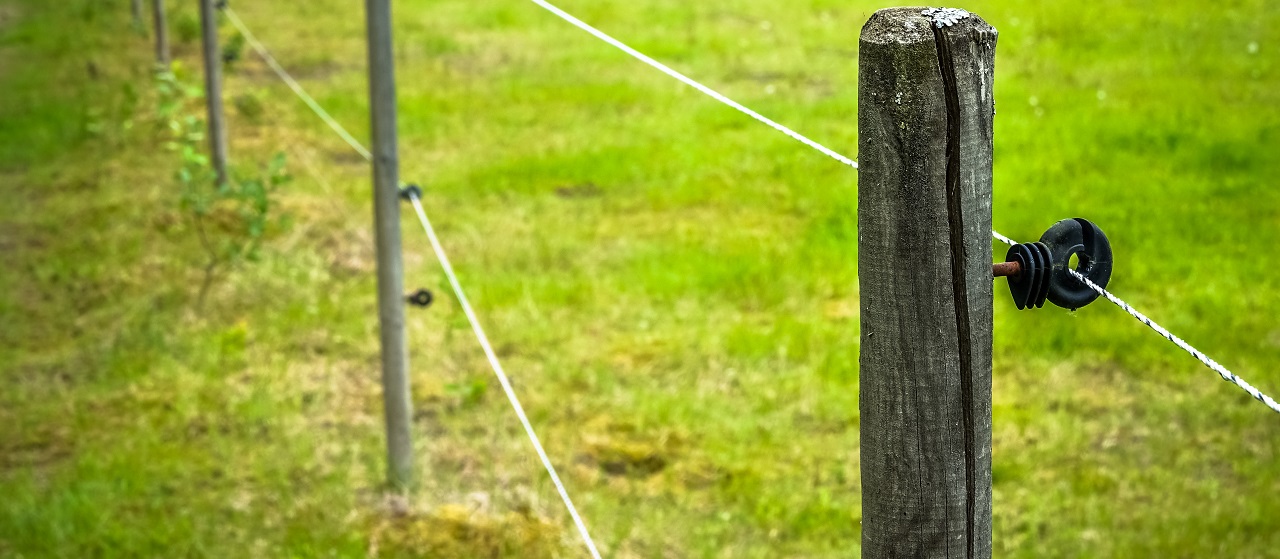 close up of electric fence