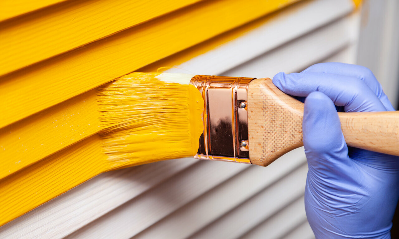 Best Paint Brushes for walls to Help you Decorate your DIY home Projects