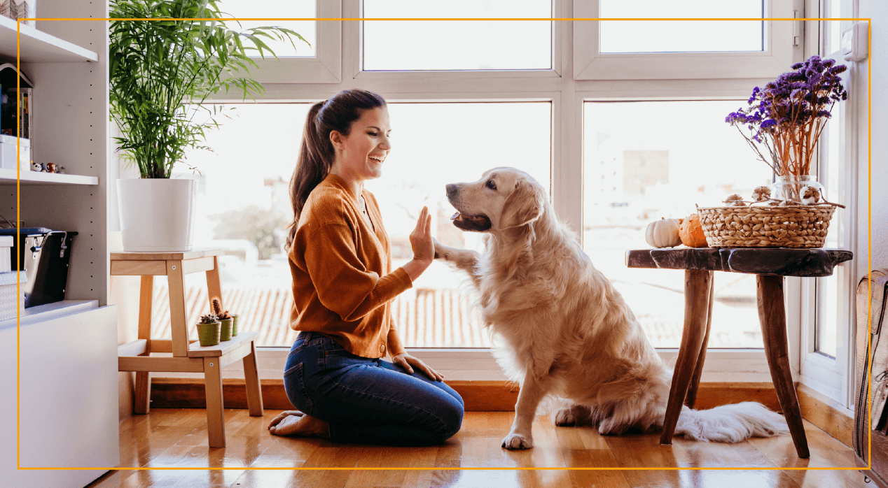 Woman sitting by windows playing with dog