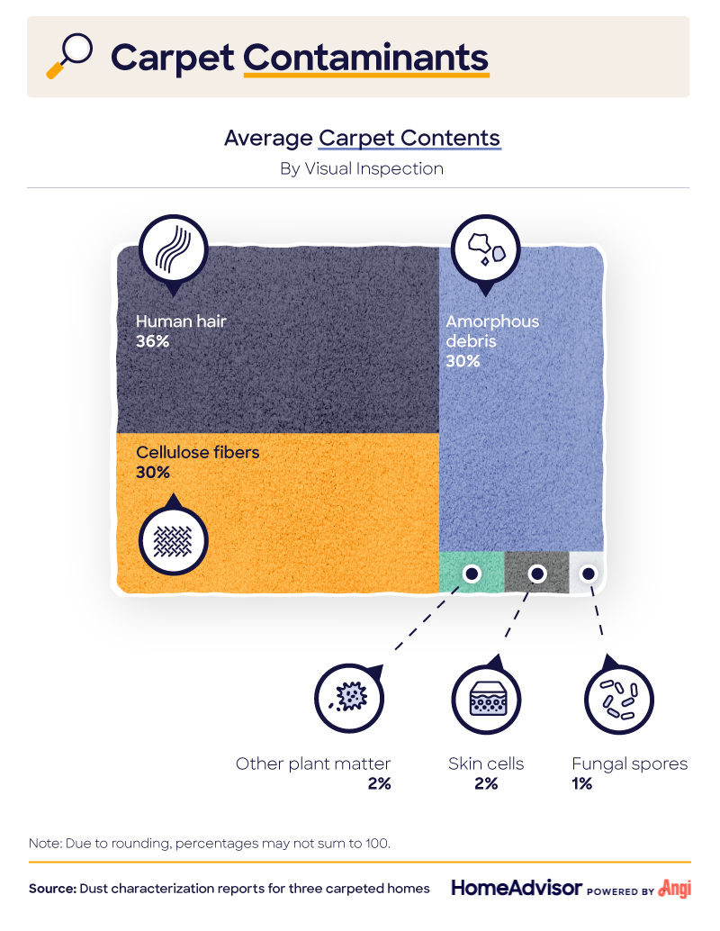 carpet contaminents graph