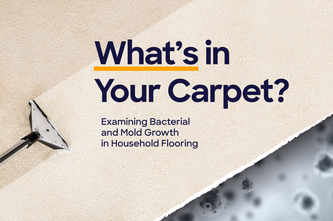 Mold – Does it Lurk Beneath Your Carpet?