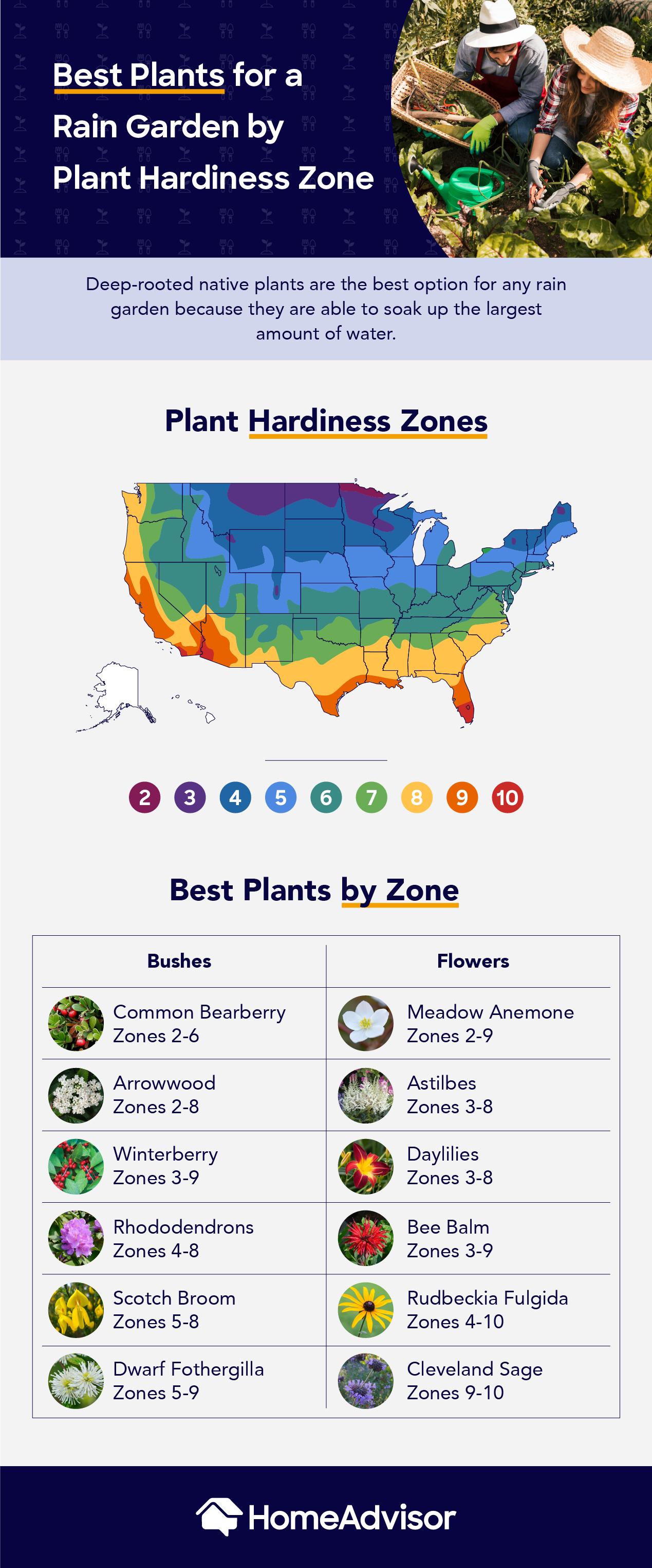 best plants for a rain garden by plant hardiness zone