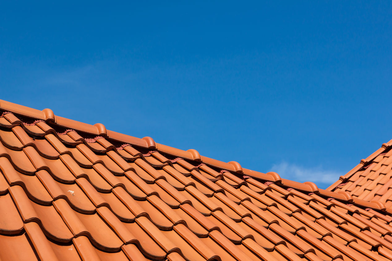 A rooftop clay tile pattern