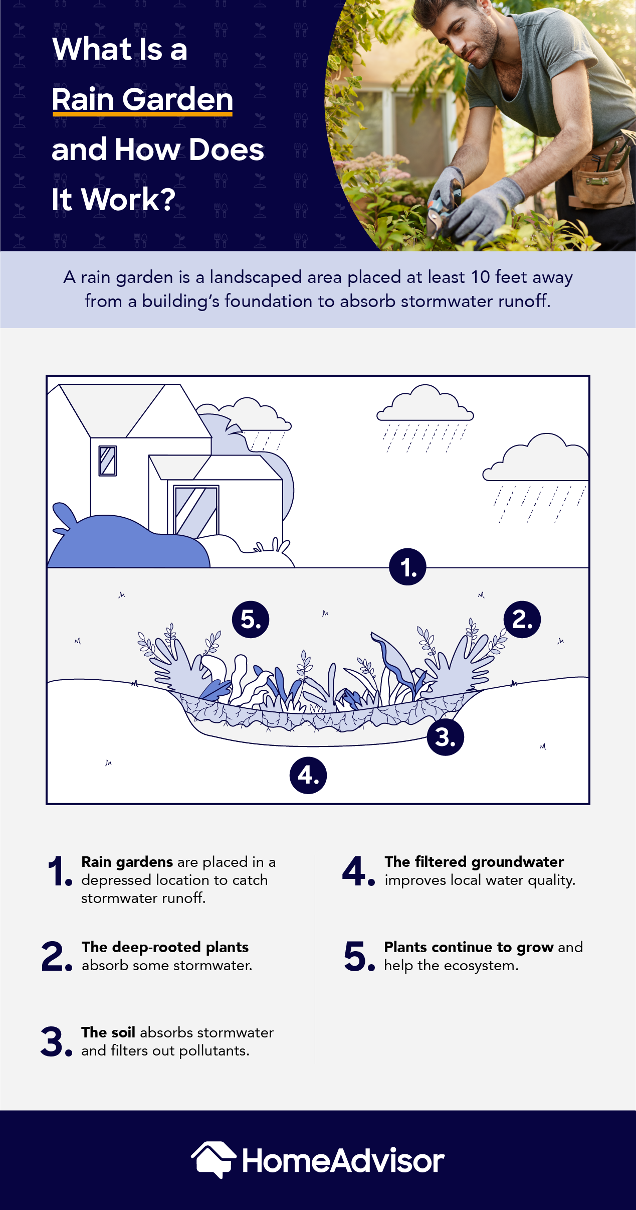 what is a rain garden and how does it work?