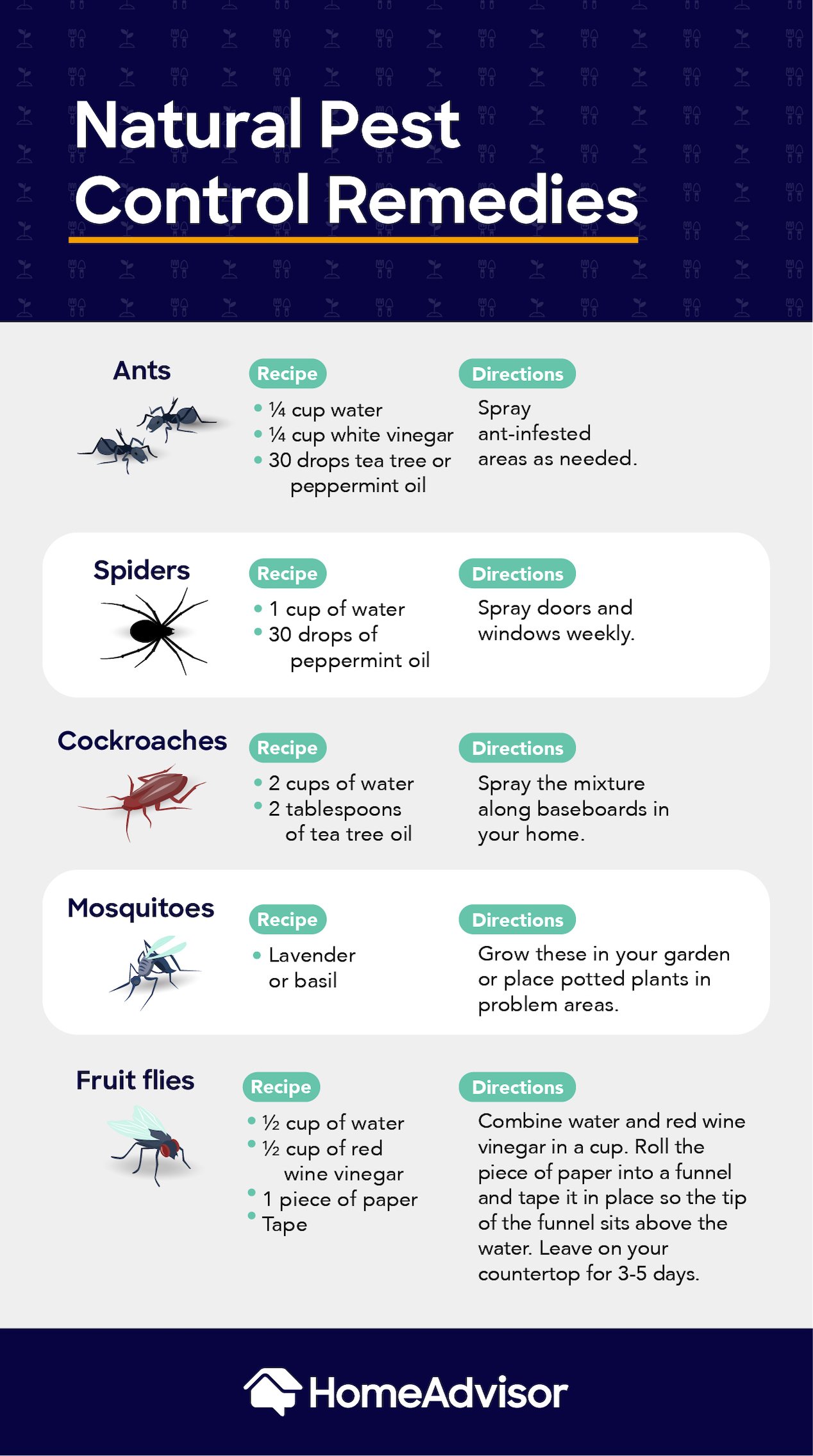 An infographic displaying natural pest control remedies