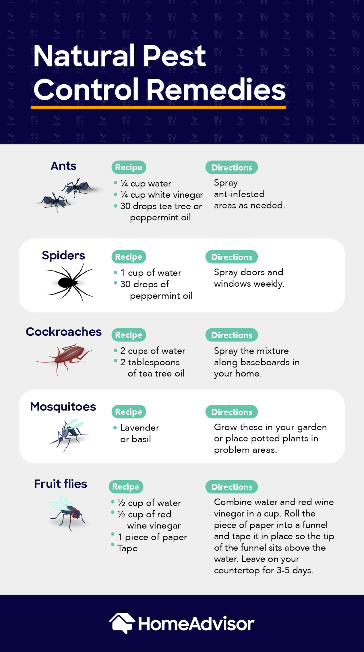 https://www.homeadvisor.com/r/wp-content/uploads/2021/10/natural-pest-control-remedies.jpg