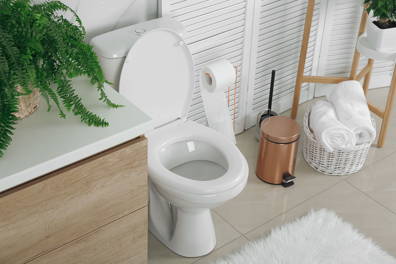 Differences Between Round Toilet Vs Elongated Toilets