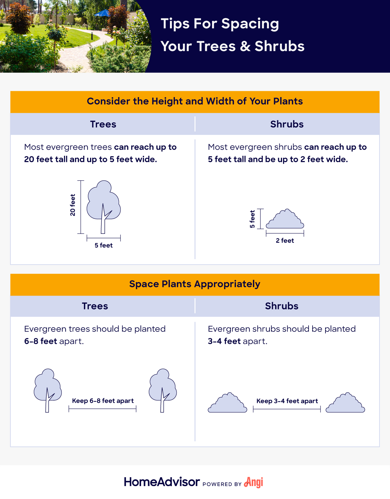 tips for spacing your shrubs