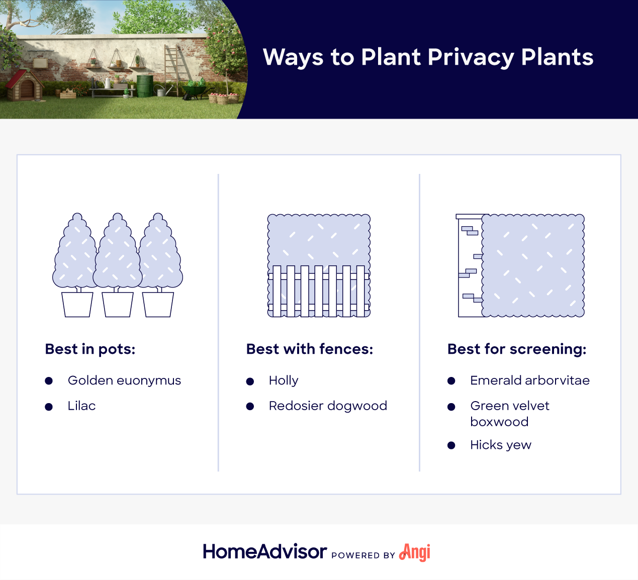 ways to plant privacy plants