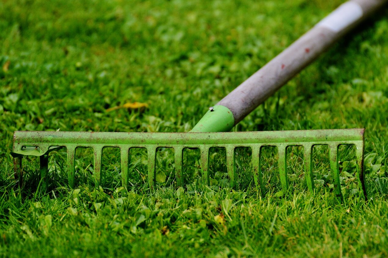 green rake on lawn